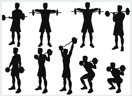 Silhouette images of a man performing various barbell and dumbbell exercises, including lifts, curls, squats, and presses, demonstrating different strength training movements.